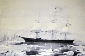 Clipper Ship Red Jacket